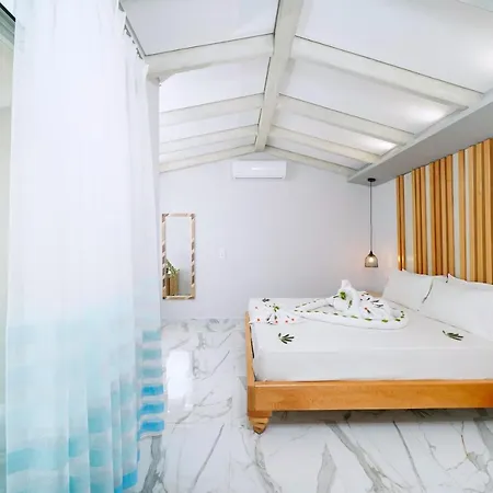 Apartment El Greco Potos