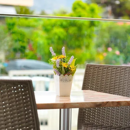 El Greco * פוטוס